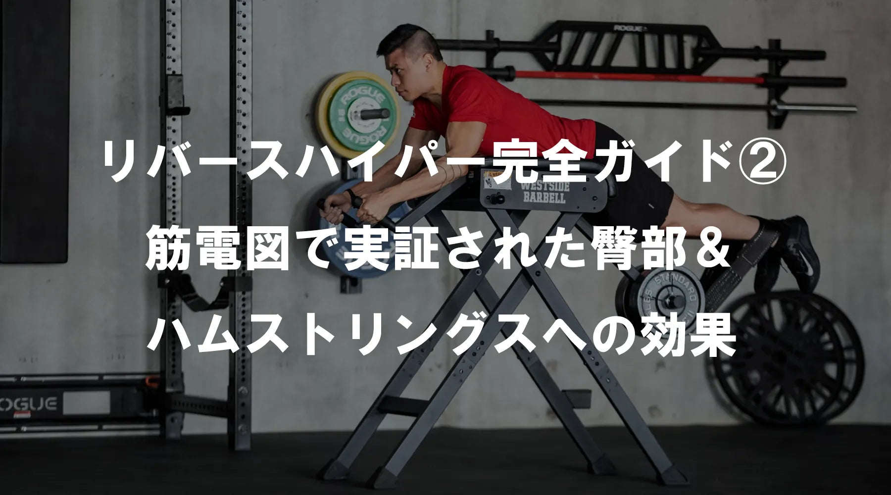 リバースハイパー完全ガイド②：筋電図で実証された臀部＆ハムストリングスへの効果