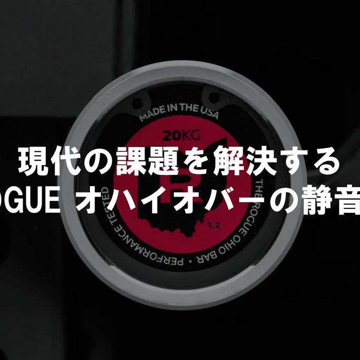【優れた静音性】ROGUE オハイオバーステンレススチール