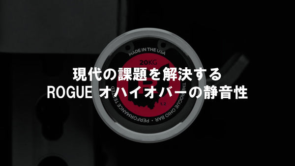 【優れた静音性】ROGUE オハイオバーステンレススチール