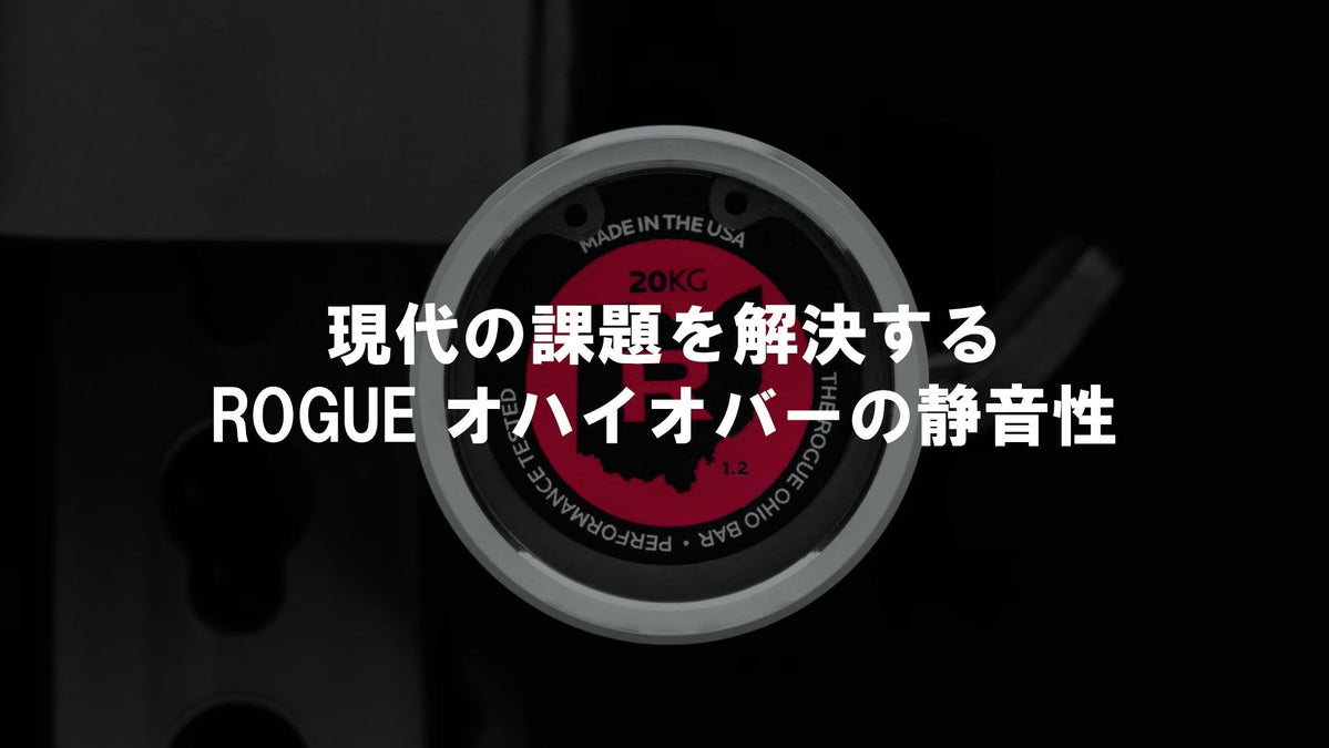 優れた静音性】ROGUE オハイオバーステンレススチール — MBC POWER SHOP
