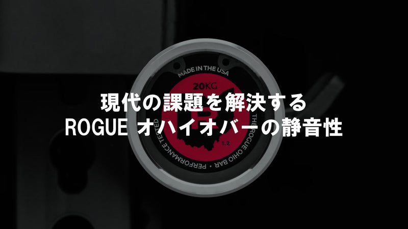 優れた静音性】ROGUE オハイオバーステンレススチール — MBC POWER SHOP