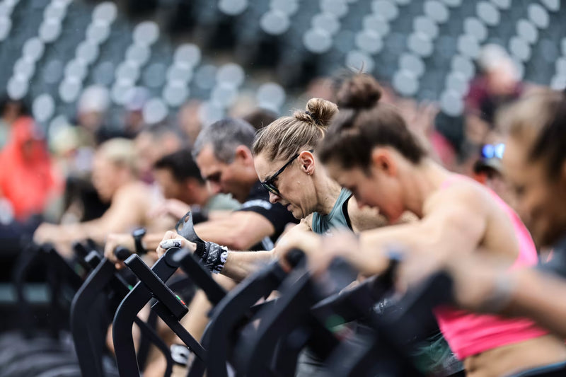 ROGUE エコーバイク V3.0