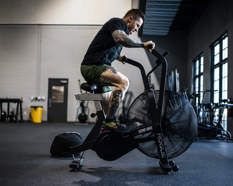 ROGUE エコーバイク V3.0