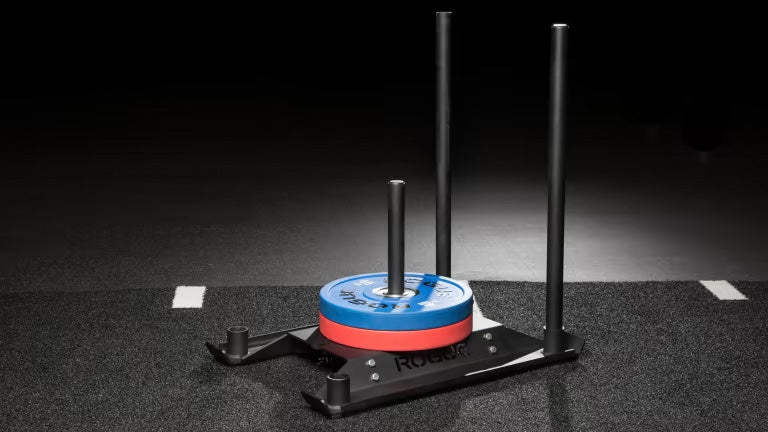 ROGUE エコードッグ スレッド ブラックを屋内ジム床面に設置し、プレートを積載した状態を後方斜めから捉えた構図。実使用時のサイズ感と安定性が分かる。