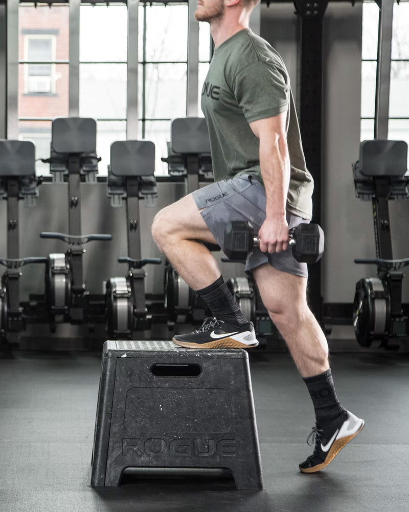 ROGUE 樹脂製プライオボックス