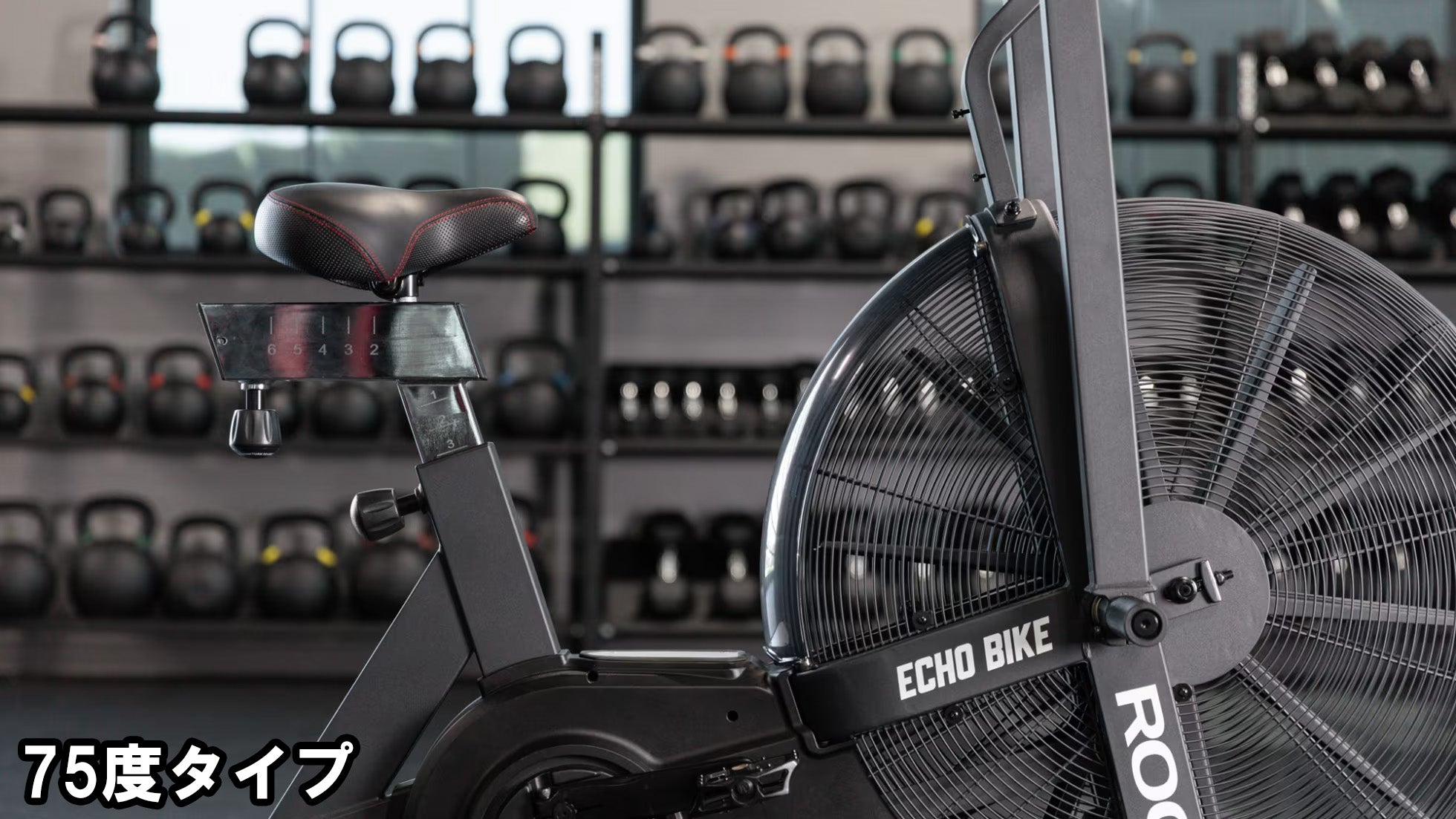 ROGUE エコーバイクウィンドガード V3.0 — MBC POWER SHOP