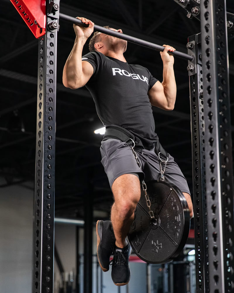 ROGUE エコーディップベルト