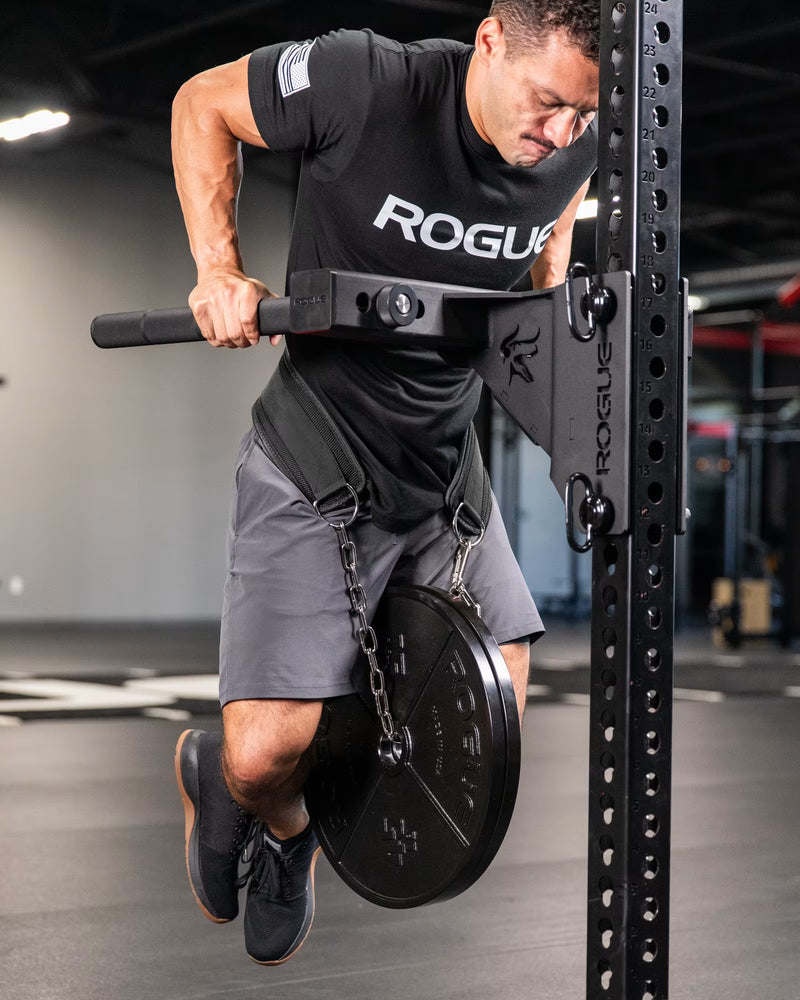 ROGUE エコーディップベルト