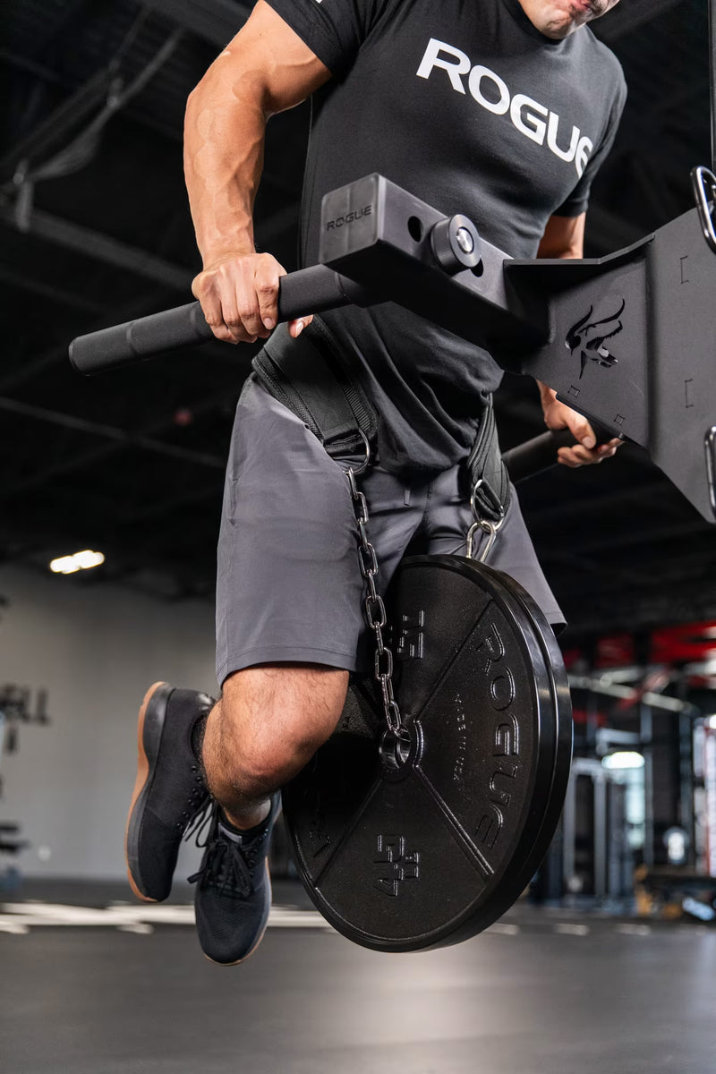 ROGUE エコーディップベルト