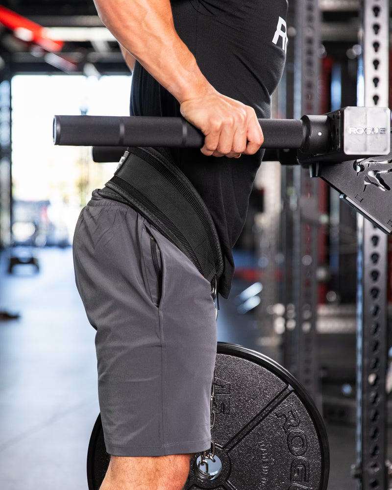 ROGUE エコーディップベルト