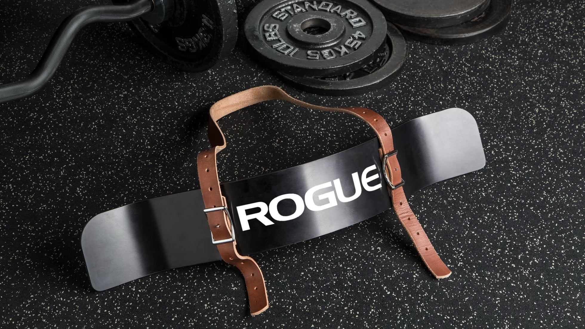 ROGUE アームブラスター — MBC POWER SHOP