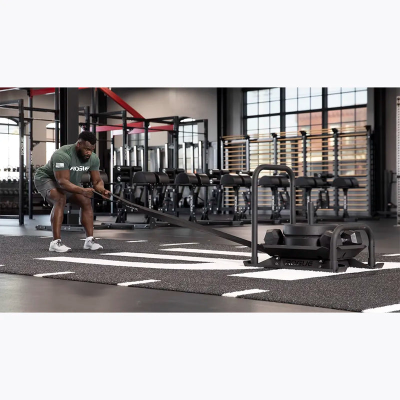 ROGUE アルパカ スレッド