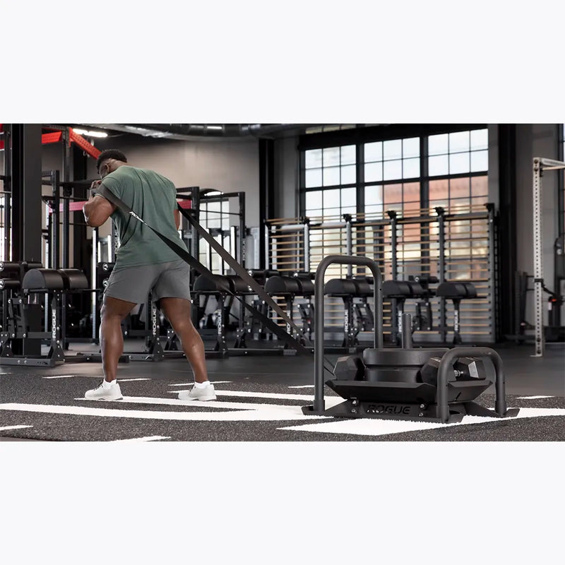 ROGUE アルパカ スレッド