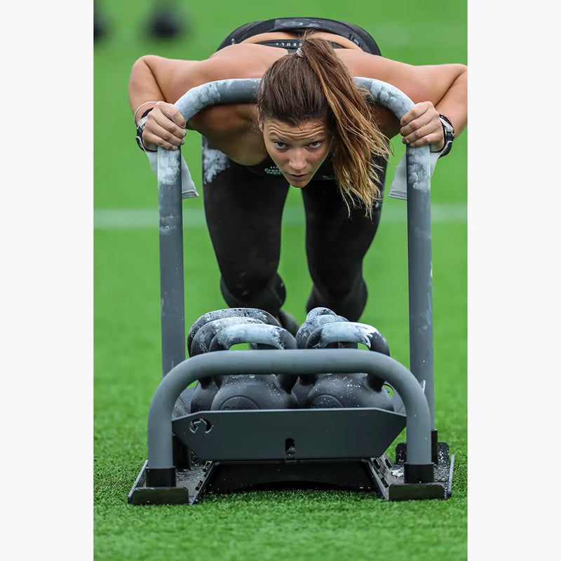 ROGUE アルパカ スレッド