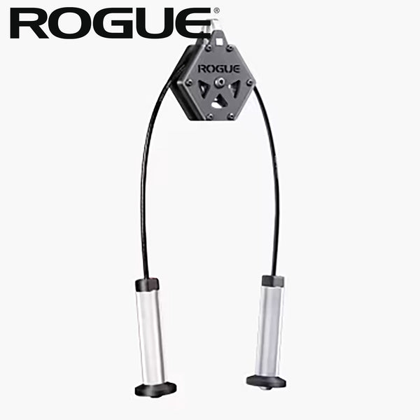 ROGUE TR-2D トライセップ デュアルケーブル アタッチメント シルバー本体を正面から捉えた全体構造、六角ハウジングとデュアルケーブルハンドルの形状が分かる構成