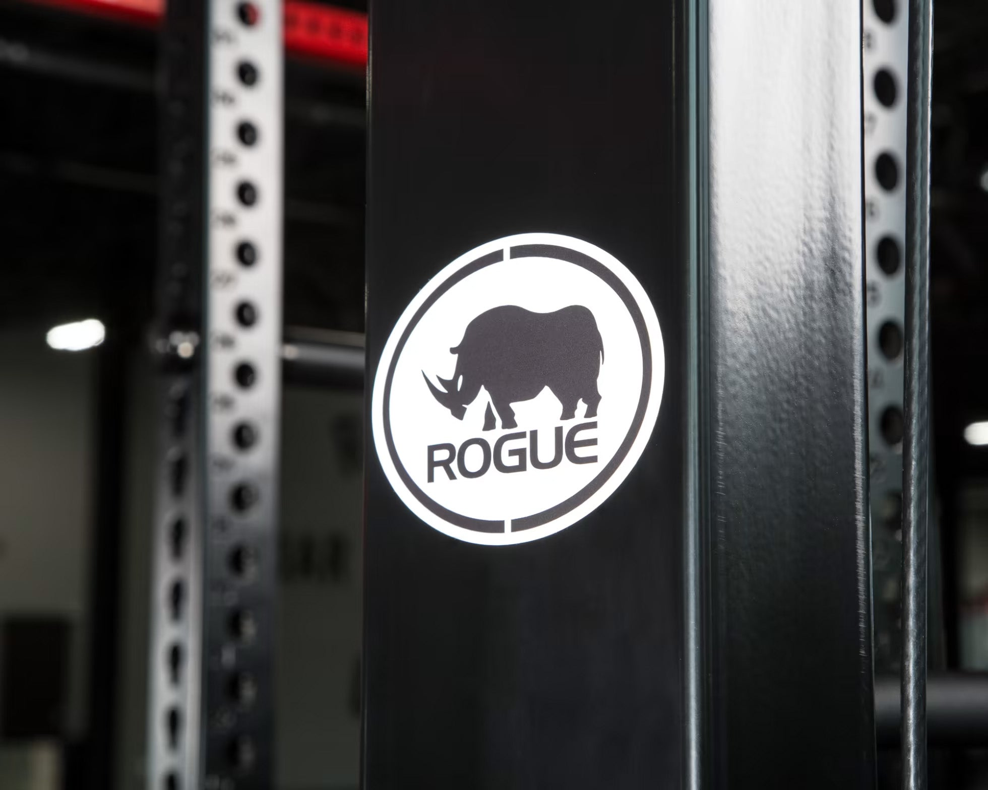 ROGUE モンスター ライノ ベルトスクワット - 独立型 — MBC POWER SHOP