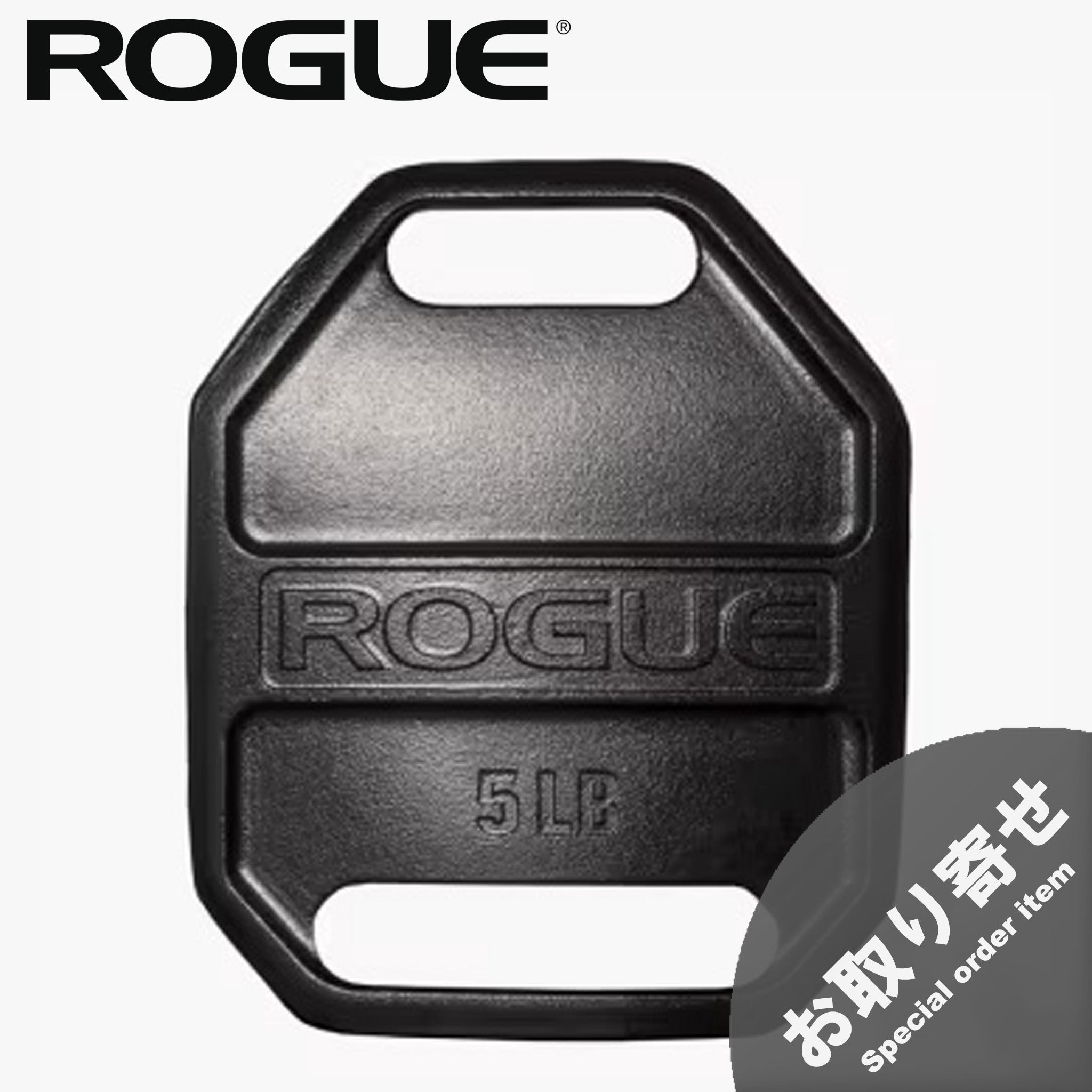 お取り寄せ商品）ROGUE エコー ウェイトベスト プレート — MBC POWER SHOP