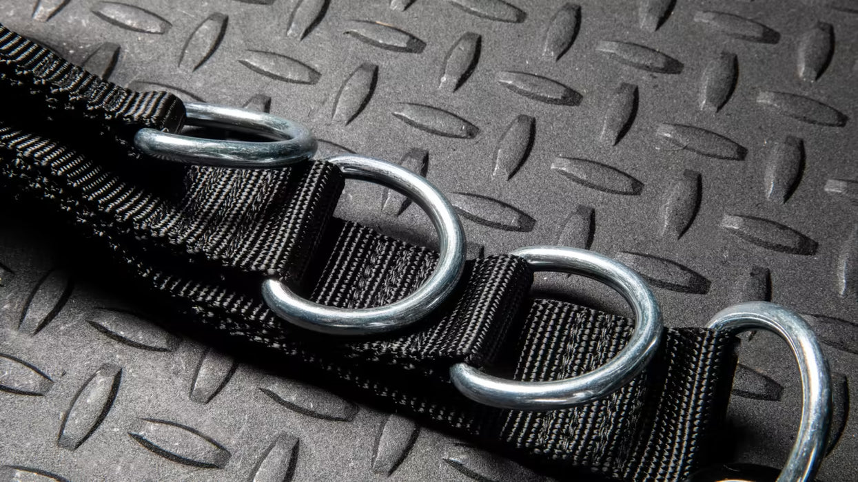 ROGUE マルチベルト — MBC POWER SHOP ROGUE マルチベルト — MBC POWER SHOP