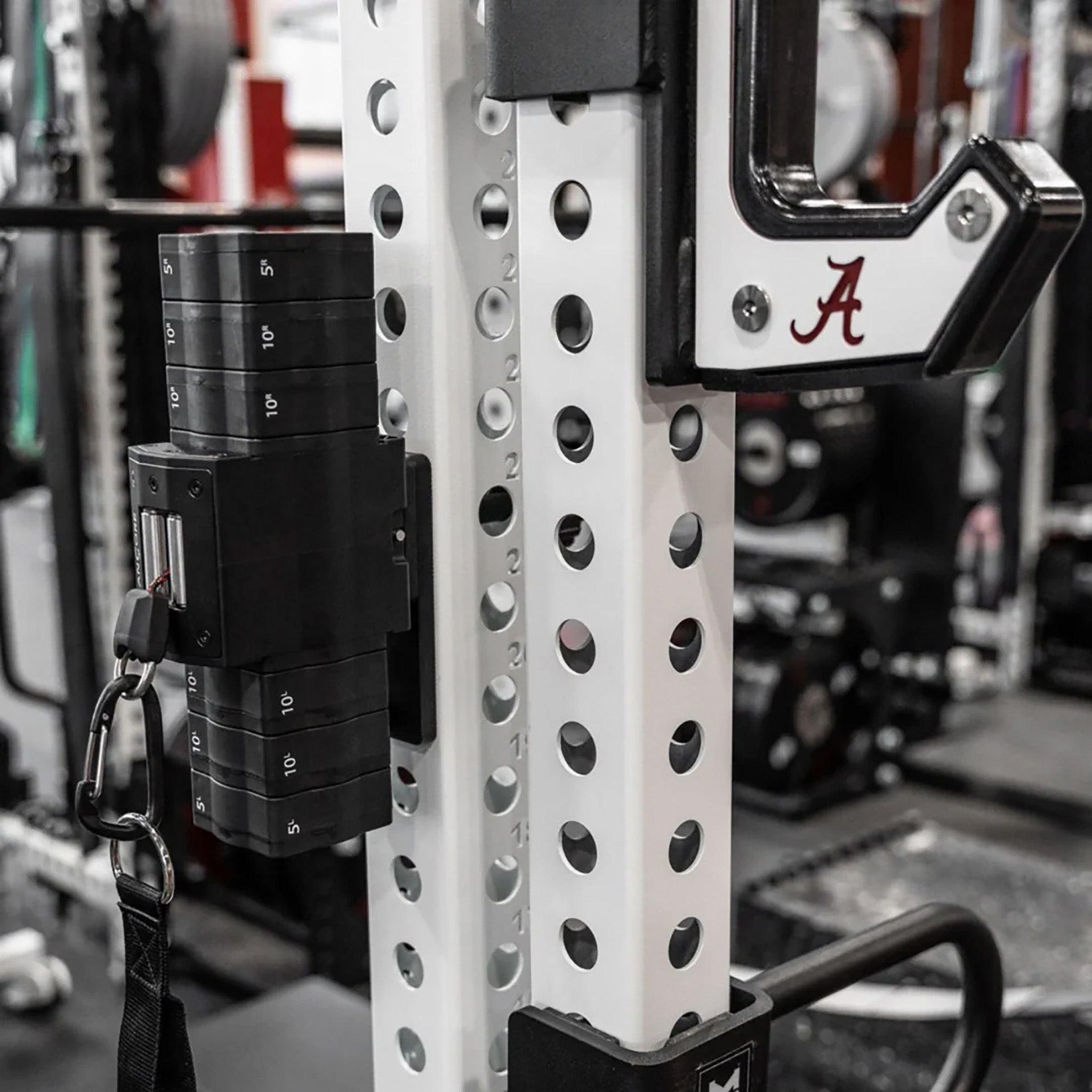 ANCORE PRO [2026年2月中の販売開始予定] — MBC POWER SHOP