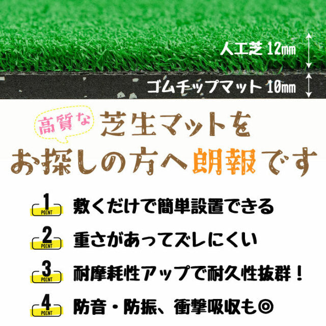 SLDS ジム用ラバーターフ（50cm×100cm×厚み22mmタイプ） — MBC POWER SHOP