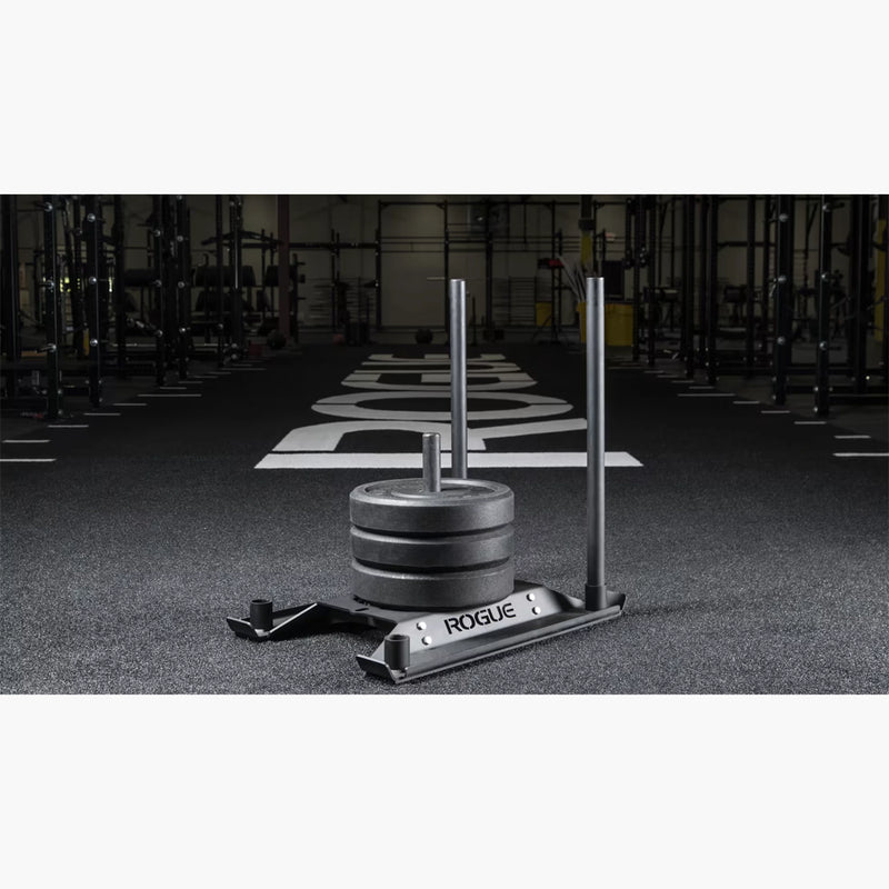 ROGUE エコードッグ スレッド