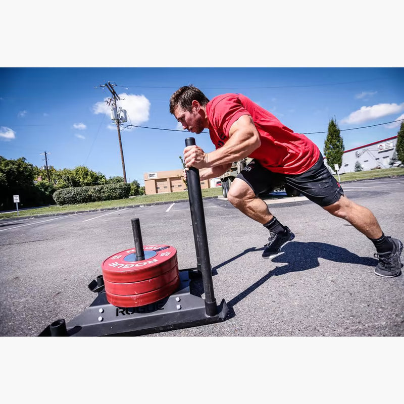 ROGUE エコードッグ スレッド