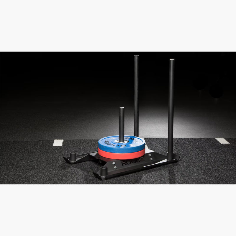 ROGUE エコードッグ スレッド