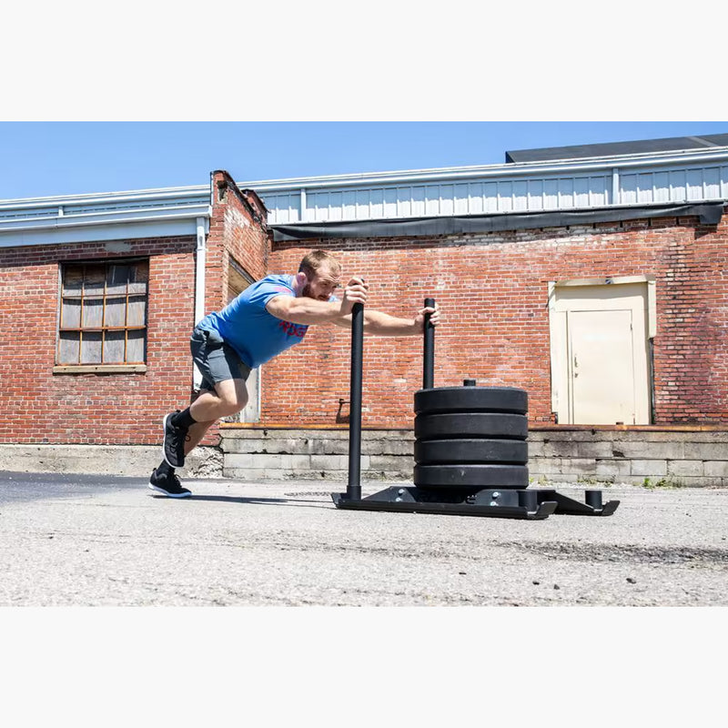 ROGUE エコードッグ スレッド