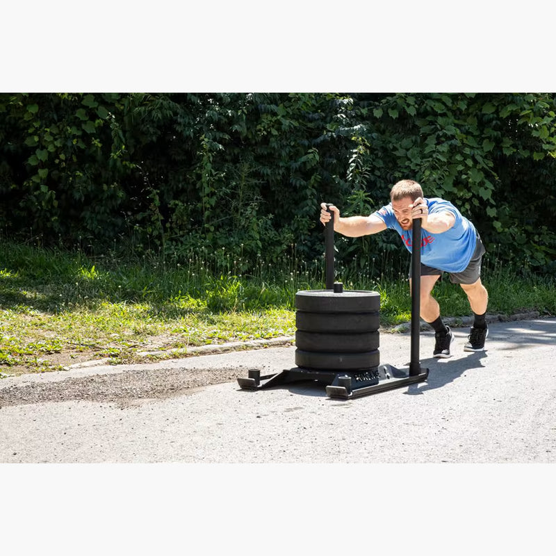 ROGUE エコードッグ スレッド