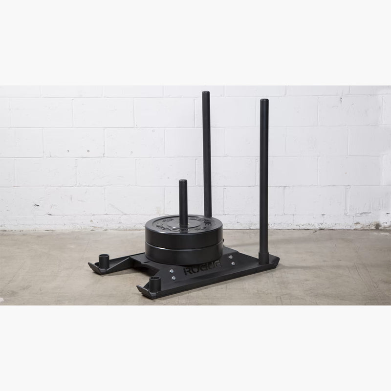 ROGUE エコードッグ スレッド