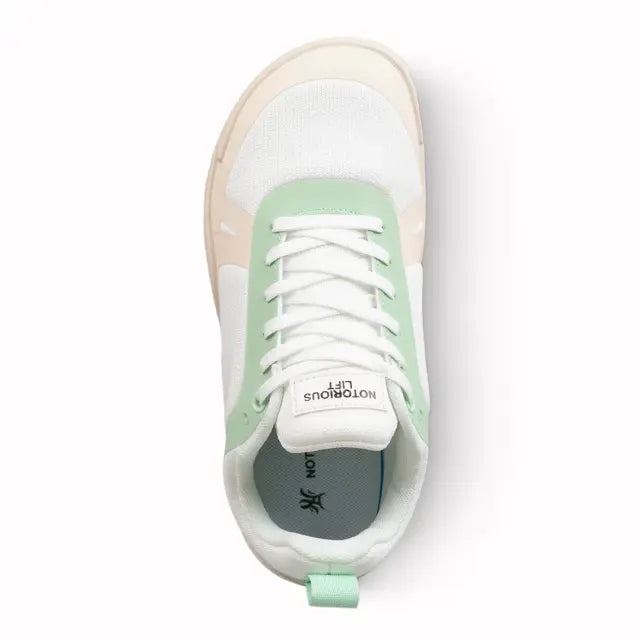 NOTORIOUS LIFT ラディックス