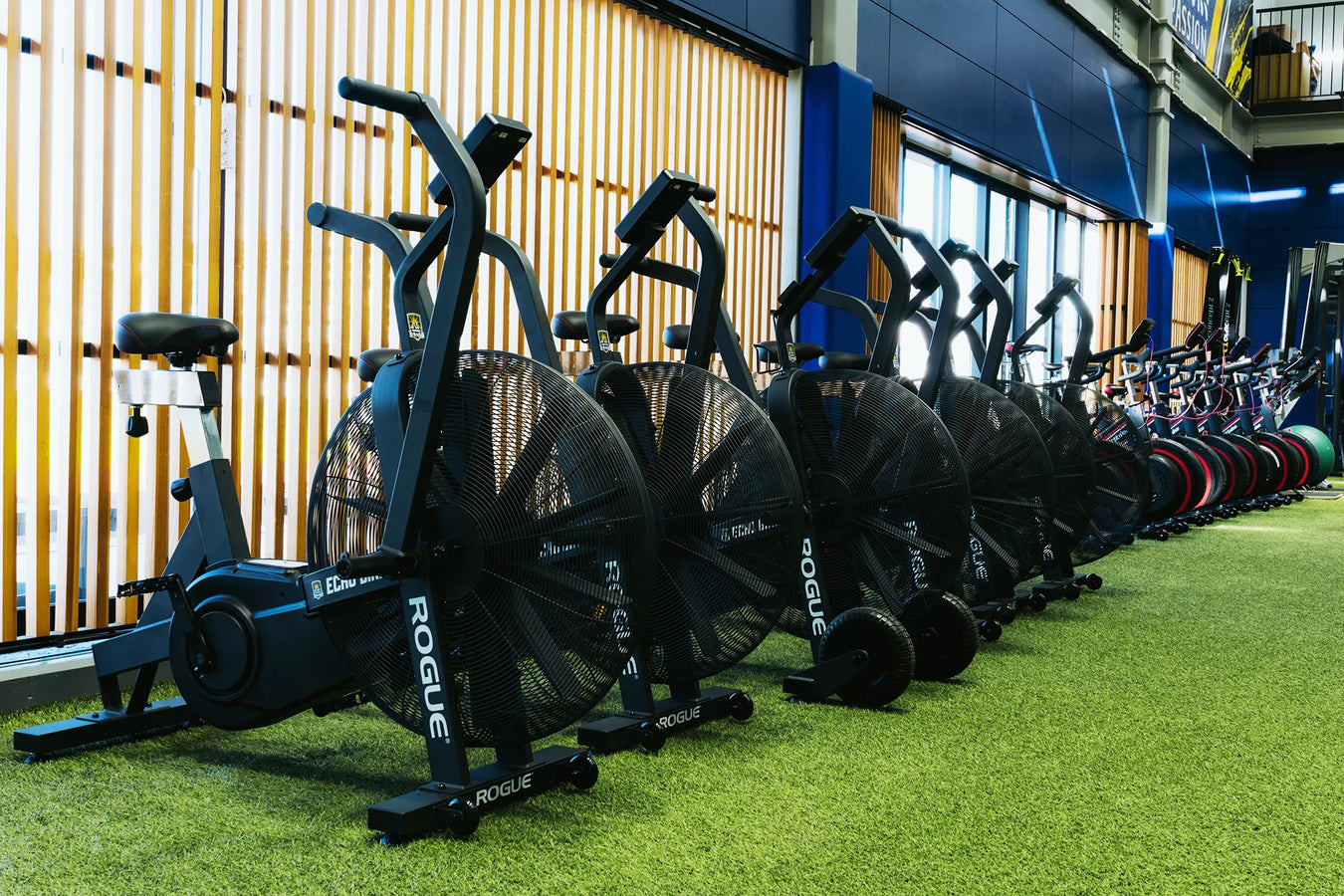 ROGUE FITNESS(ローグフィットネス) — Page 3 — MBC POWER SHOP ROGUE FITNESS(ローグフィットネス) — Page 3 — MBC POWER SHOP